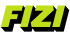 FIZI LLC